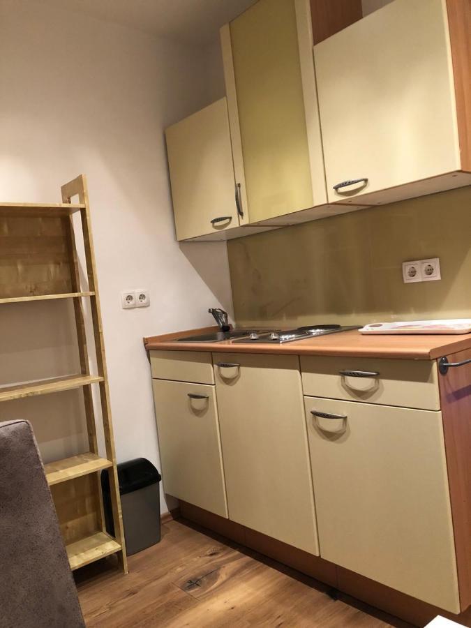 Nina Apartment Wiener Neustadt Bagian luar foto
